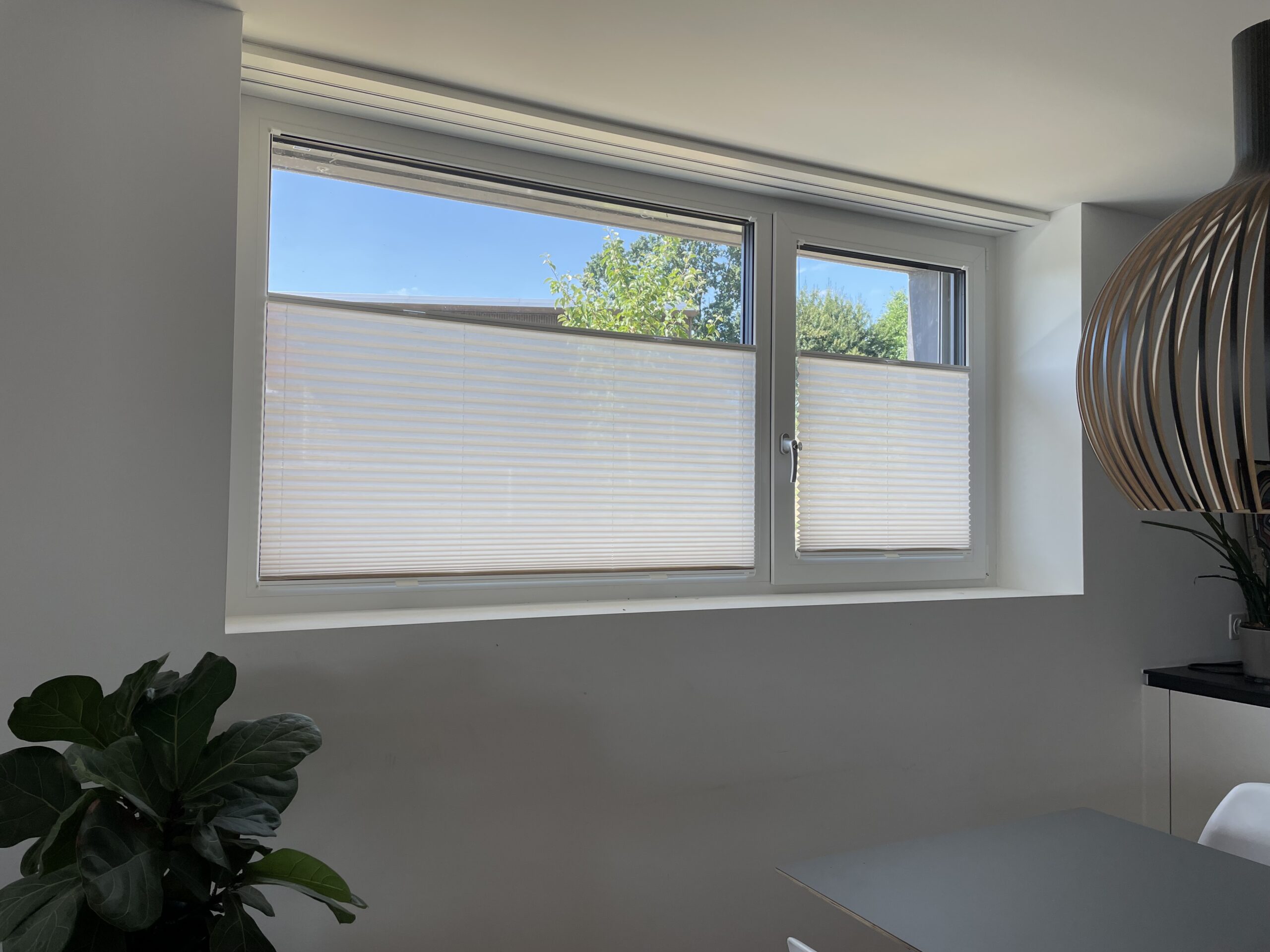 Sichtschutz-Plissee als maßgefertigtes Kundenprojekt